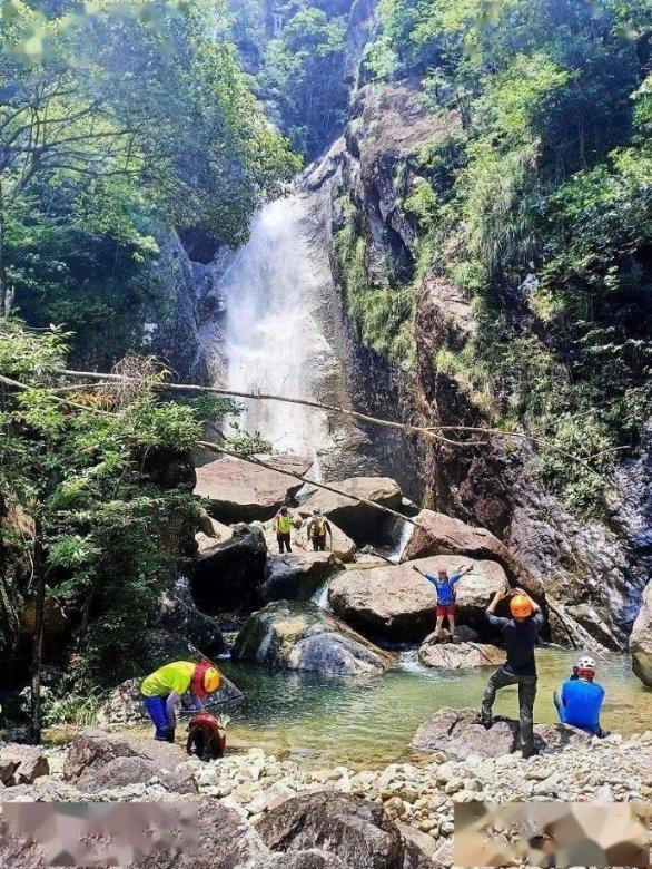 确山县“五星”引领振兴路